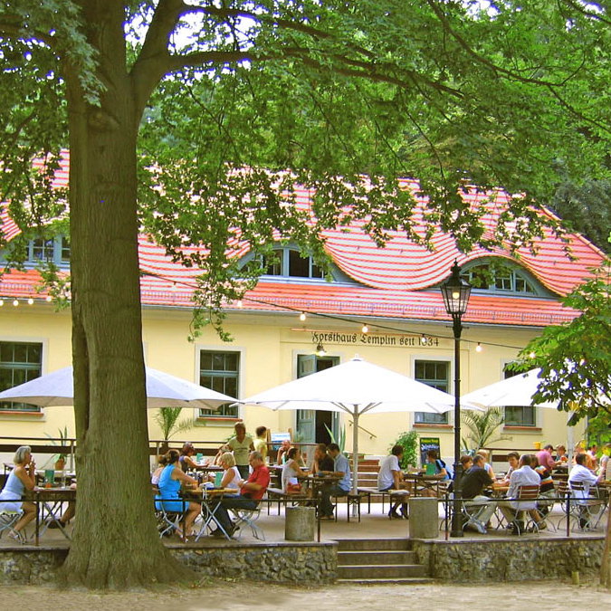 Baumanufraktur Forsthaus Templin