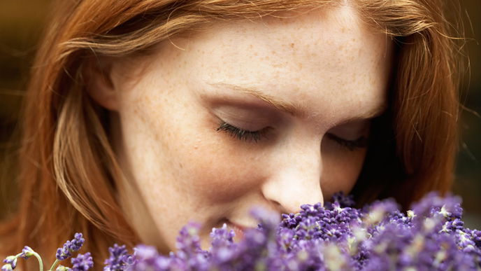 Heilende Blumen: Ringelblume, Lavendel und Arnika lindern Beschwerden