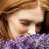 Heilende Blumen: Ringelblume, Lavendel und Arnika lindern Beschwerden