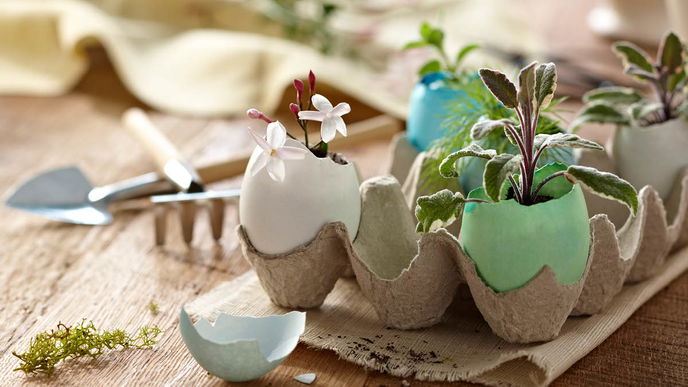 Ostern: Blumen als vielseitiges Dekoelement