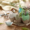 Ostern: Blumen als vielseitiges Dekoelement