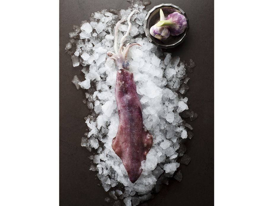 Calamari