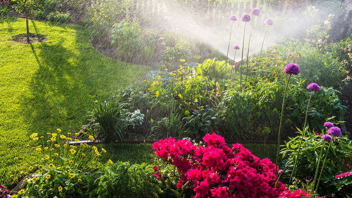 So einfach bewässern Sie Ihren Garten
