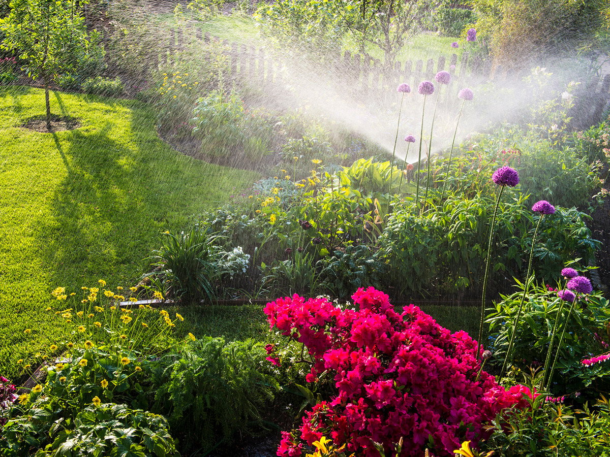 Gartenbewässerung im Sommer