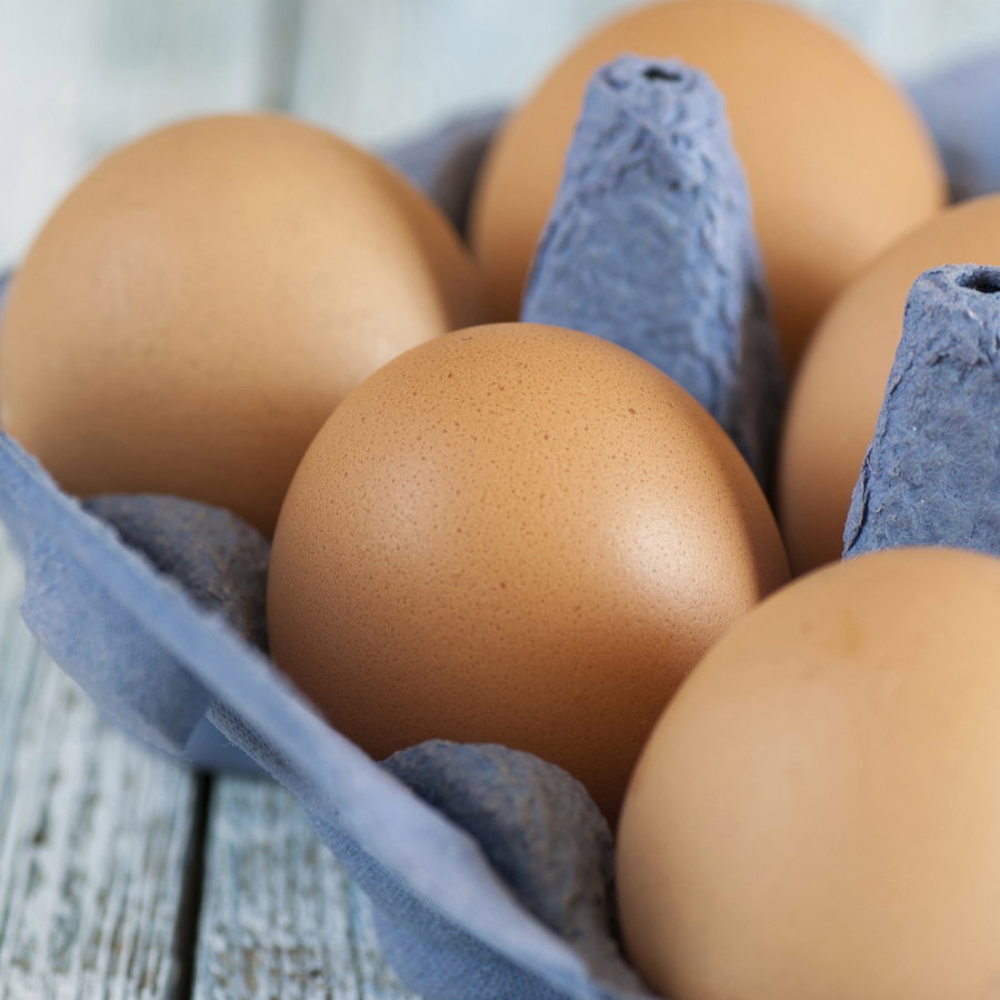 Eier - Aufbereitung und Resteverwertung von Eiern
