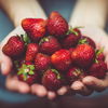 Erdbeeren: Alles über das gesunde Superfood
