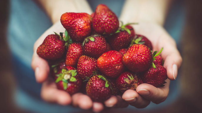 Erdbeeren: Alles über das gesunde Superfood