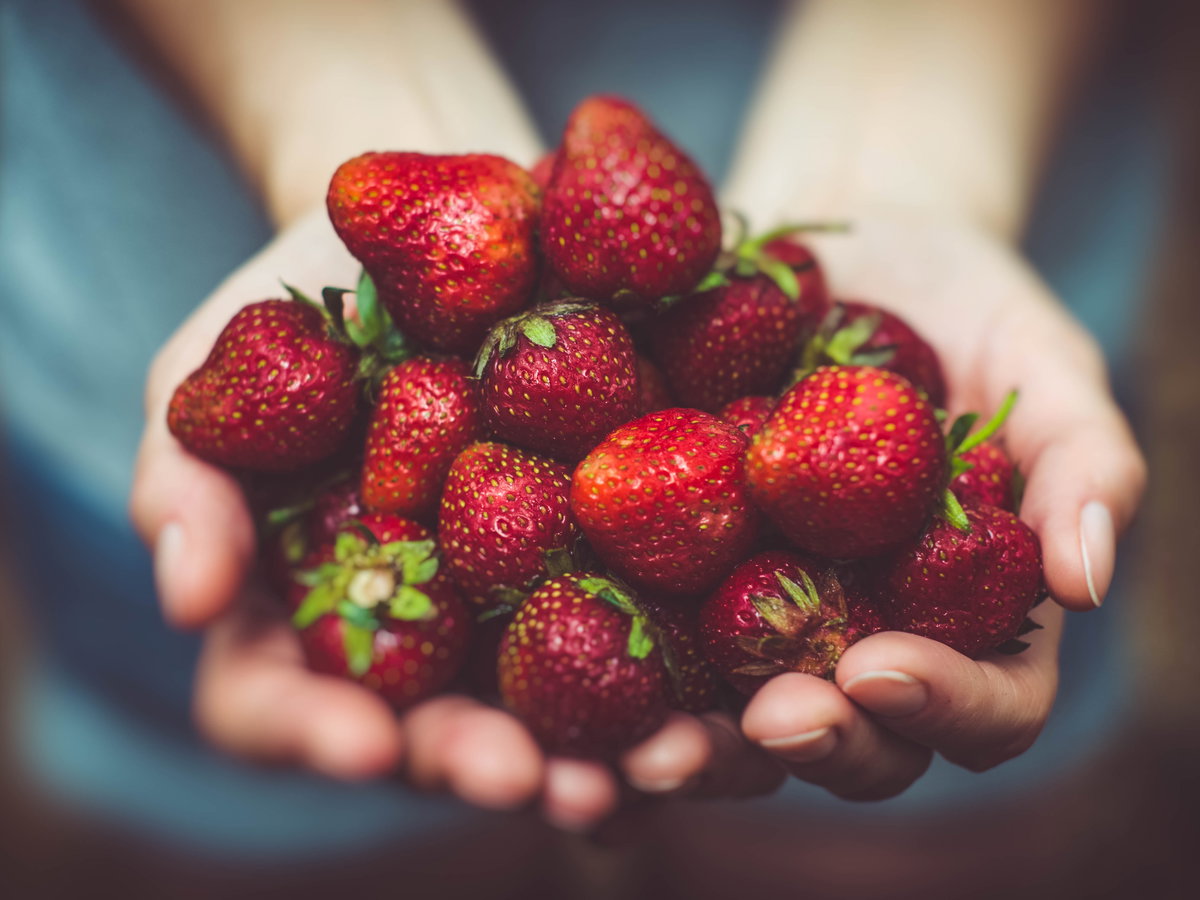 Erdbeeren