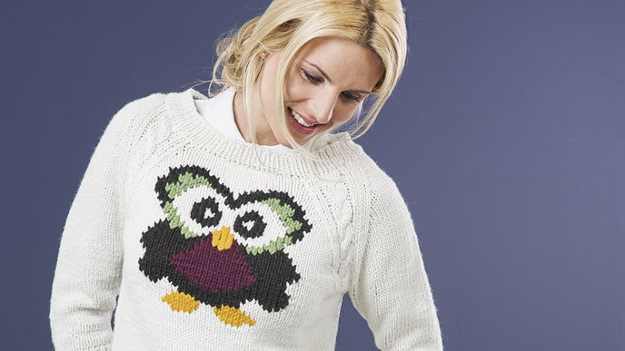 Pulli mit Eulen-Motiv