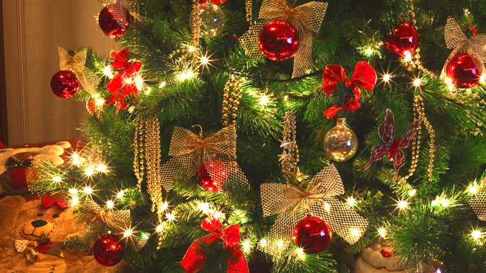 Unser festlicher Weihnachtsbaum