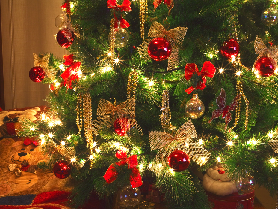 Weihnachtsbaum