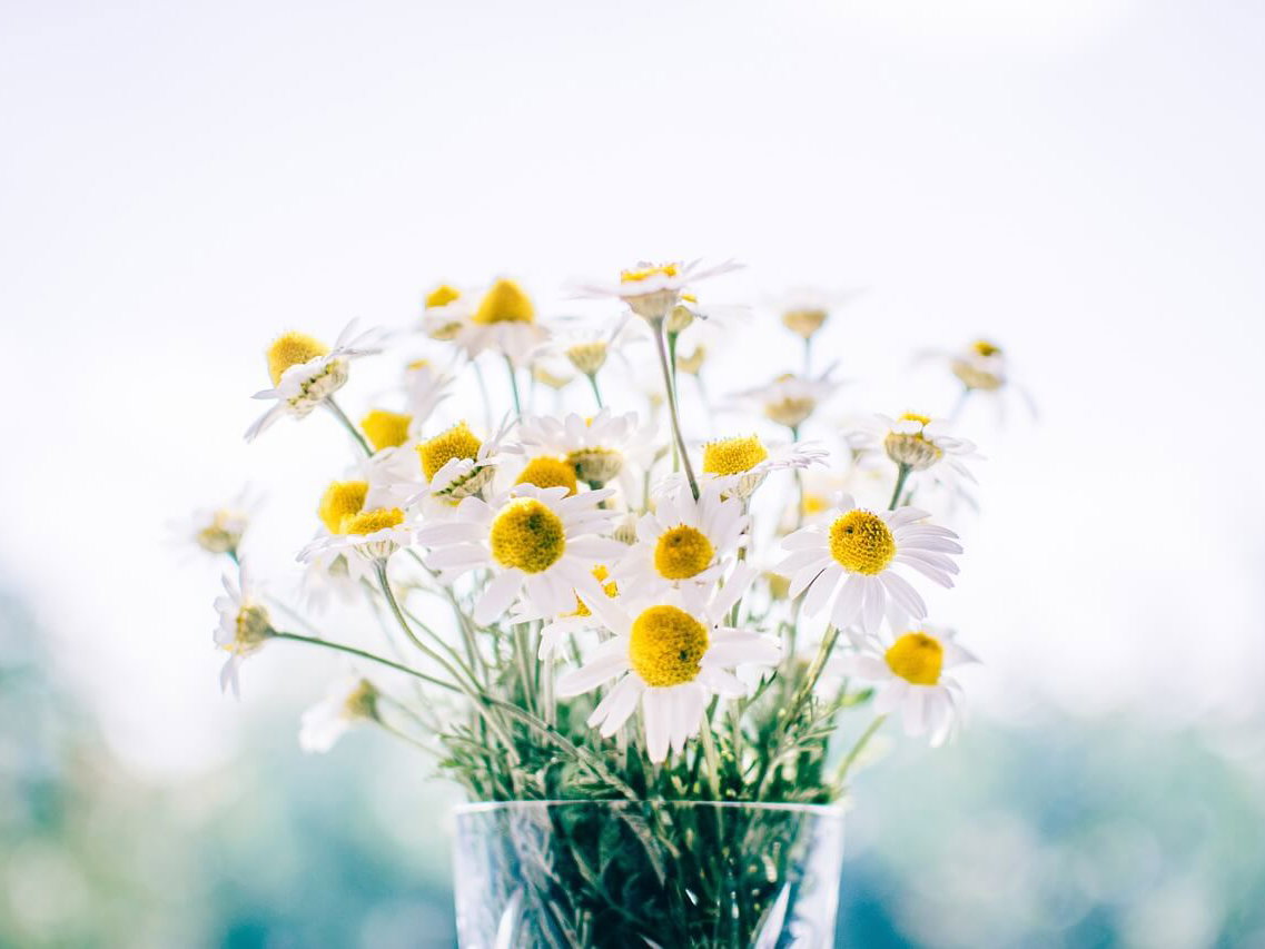 Grußkarte Frühling als Download