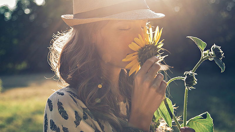 4 schöne Blumen für sonnige Standorte im Garten