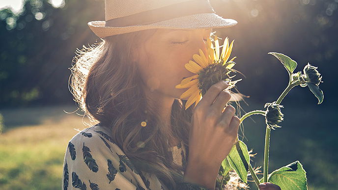 4 schöne Blumen für sonnige Standorte im Garten