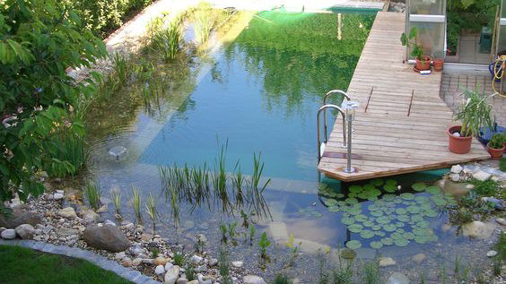 Ideen & Tipps für einen schönen Gartenteich