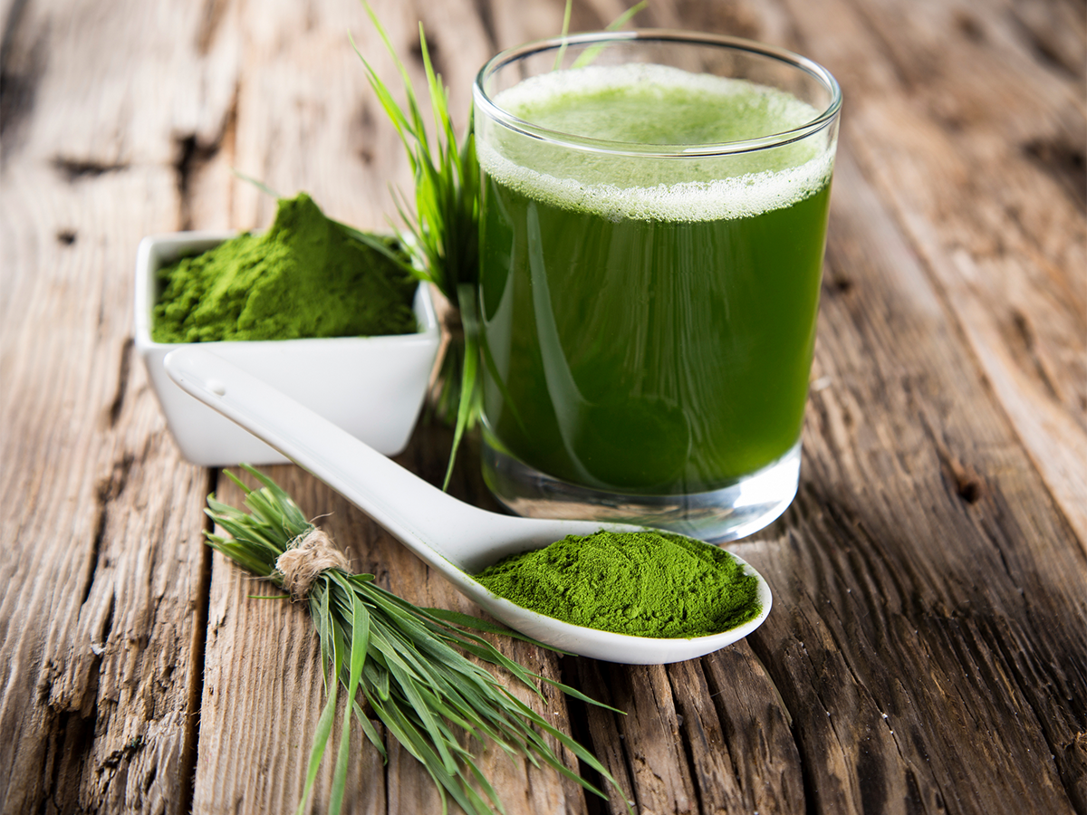 Gerstengras in Pulver-, Saft und Naturform