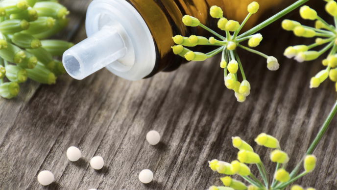 Homöopathie für den Sommer