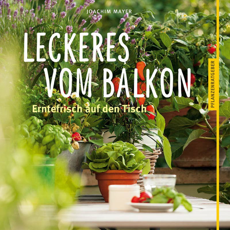 Ratgeber von GU "Leckeres vom Balkon"