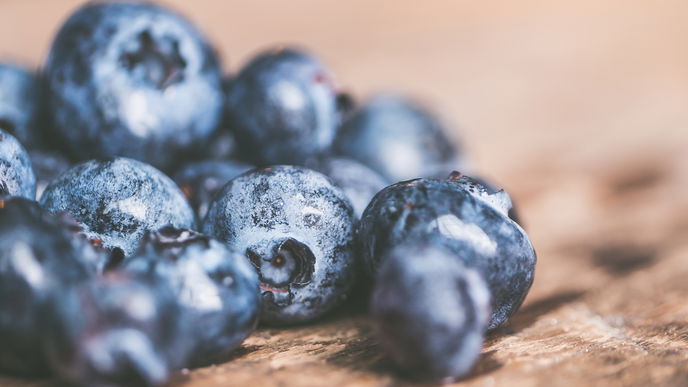 Heidelbeeren ernten: 3 praktische Tipps