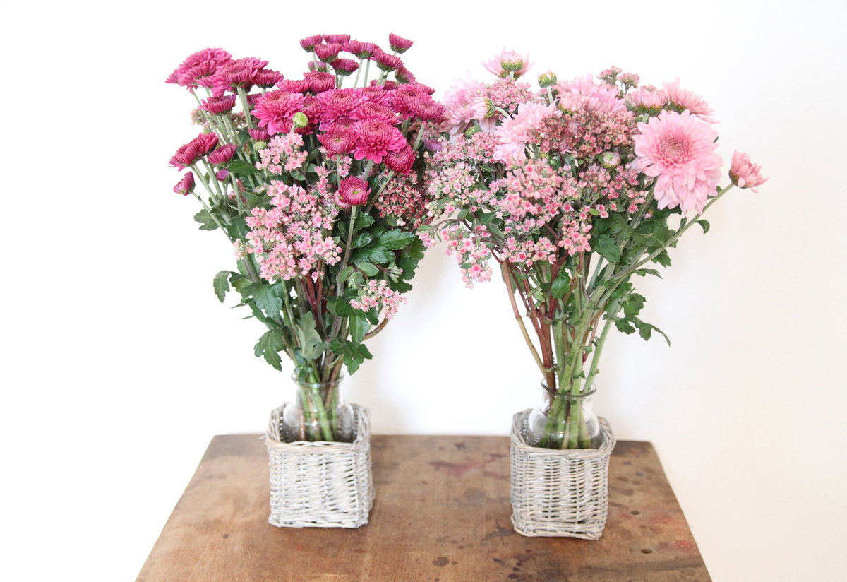 Herbstaster Vase