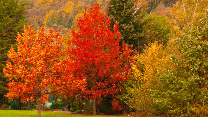 Diese Farben wärmen die Seele