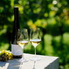 Die Stärken des Riesling Kabinett