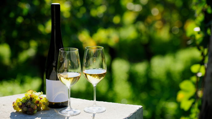 Die Stärken des Riesling Kabinett