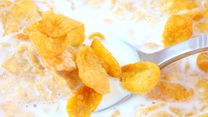Die Geschichte der Cornflakes