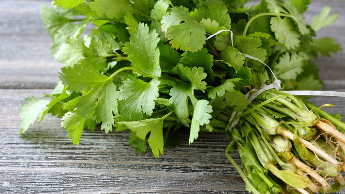 So macht Koriander Ihre Haut gesund und schön  