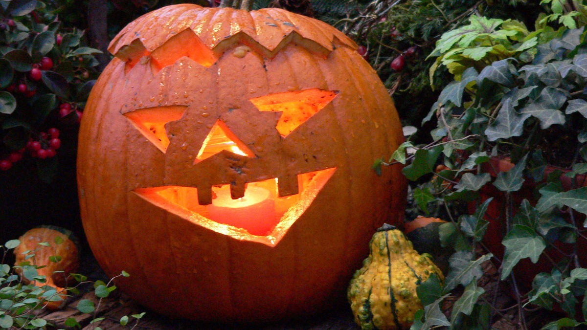 Schaurige Deko für die nächste Halloween-Party