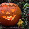 Schaurige Deko für die nächste Halloween-Party