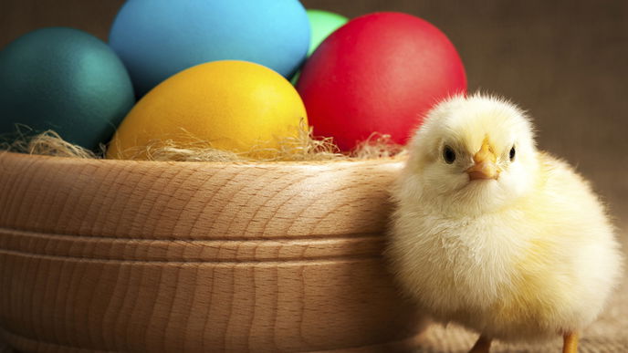 Testen Sie Ihr Osterwissen!