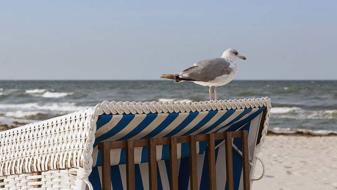 Der zweite Ostsee-Tote