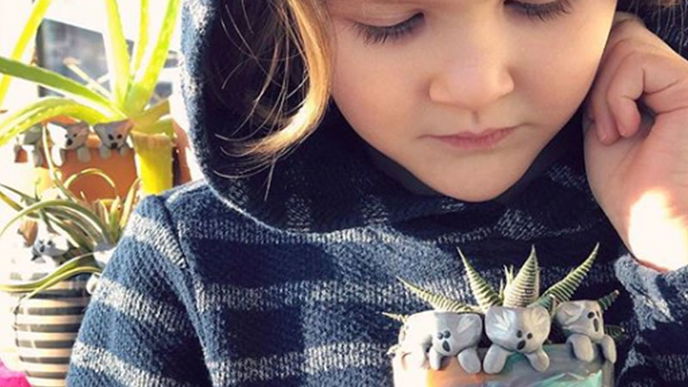 Der 6-jährige Owen Colley bastelt Ton-Koalas für die Tiere in Australien