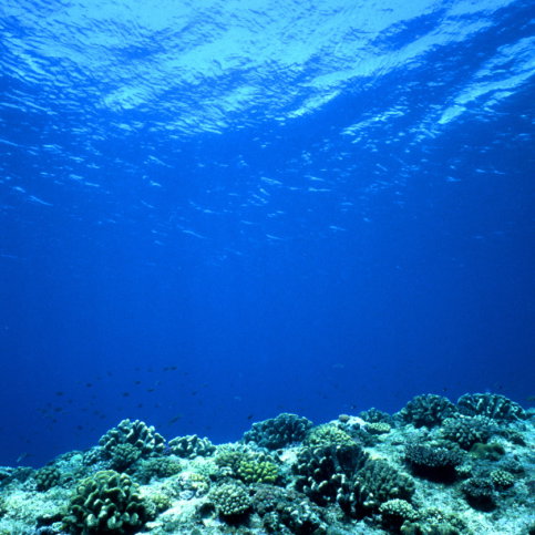 Ozean