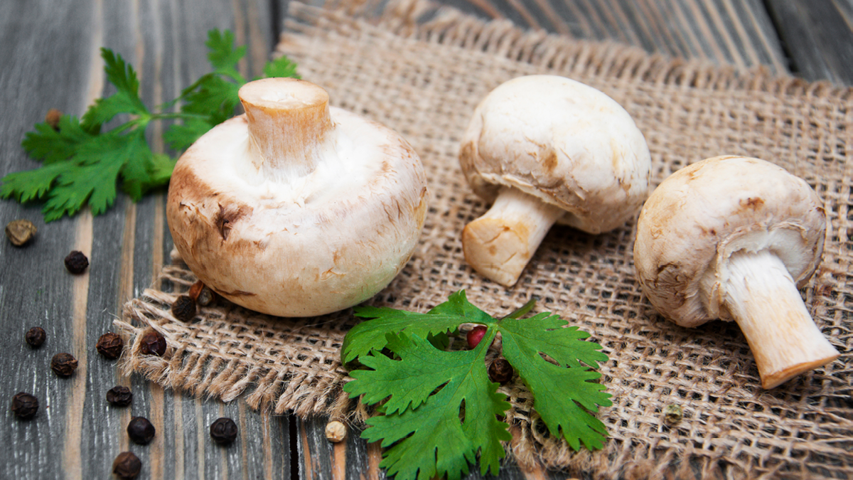 Kann man Pilze roh essen?