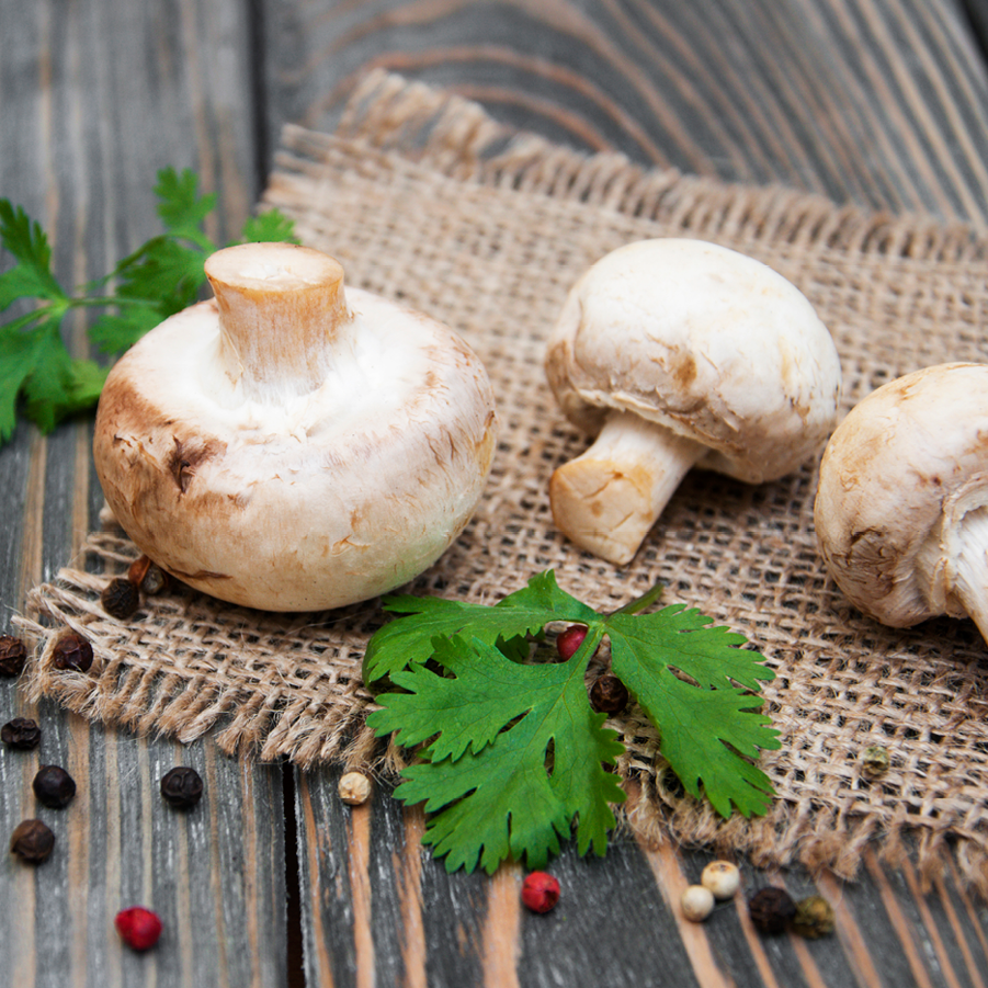 Rohe Champignons auf einem Brettchen