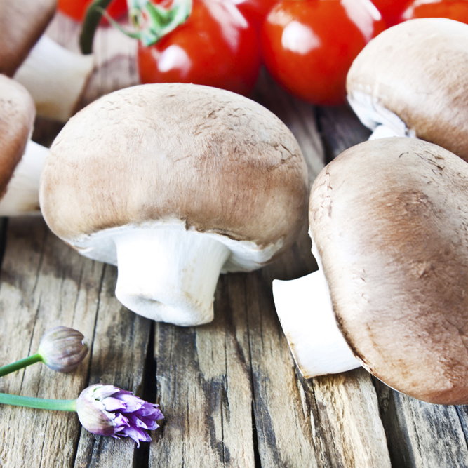 Pilze - Das gesunde Gemüse aus Wald schmeckt und ist gesund