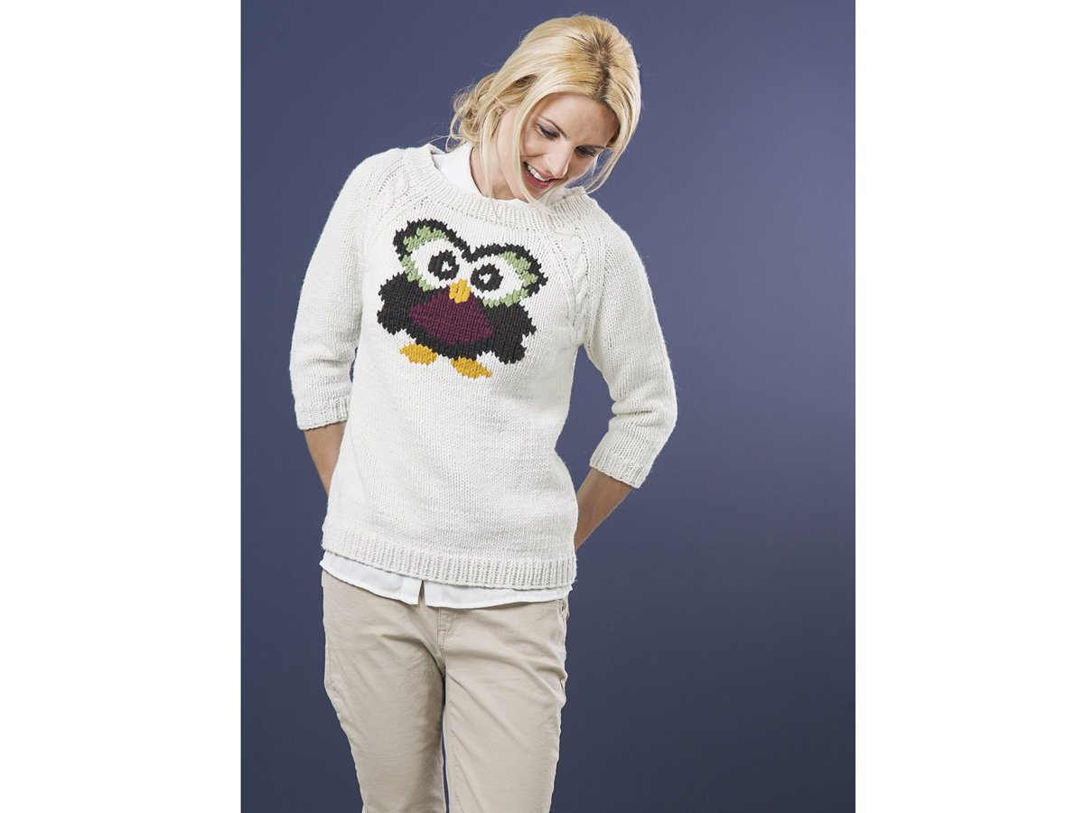 Pulli mit Eulen-Motiv