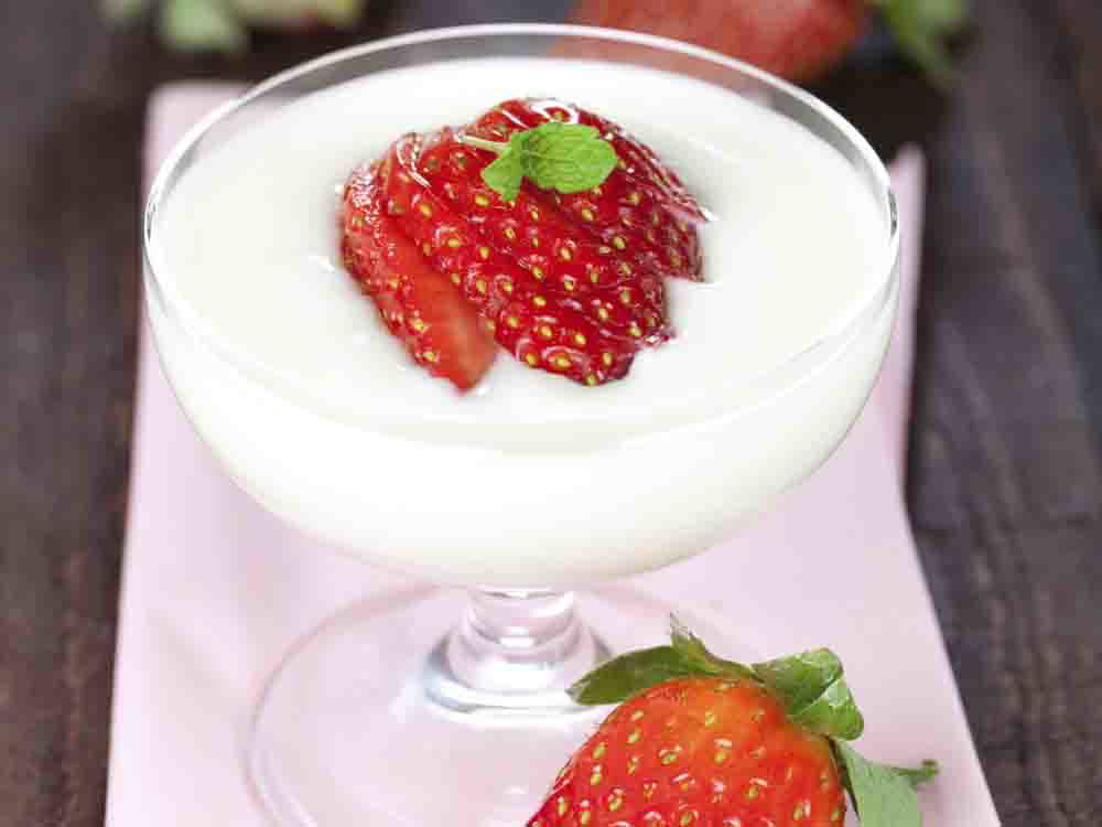 Quarkspeise mit Stevia