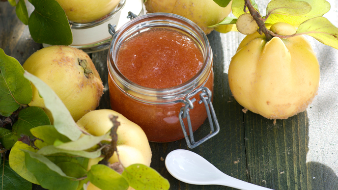 Quittenmus einkochen - Anleitung und Rezept
