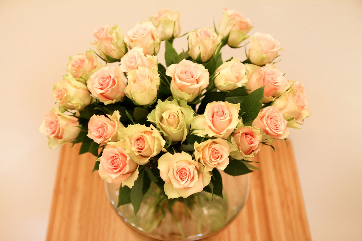 Rosen Vase