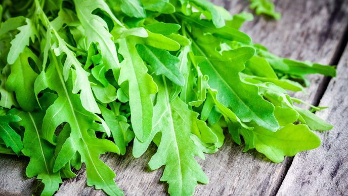 Rucolasalat: Die besten Rezepte mit Rucola