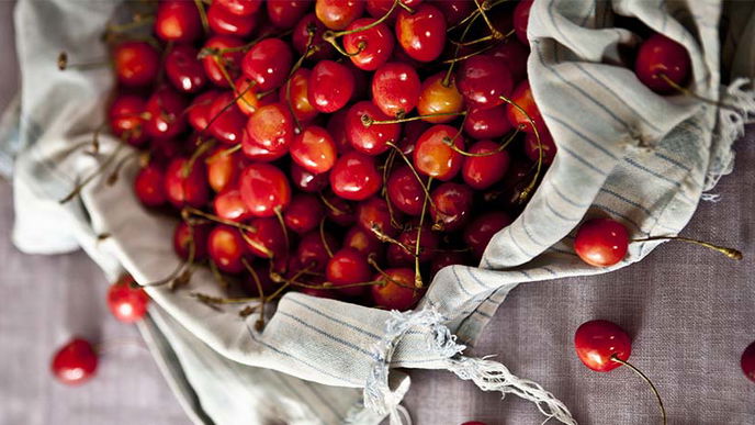 Sauerkirschen: Superfood gegen Cholesterin und Bluthochdruck