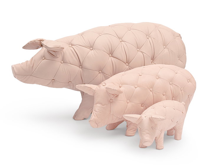 Schweine Yvonne Fehling