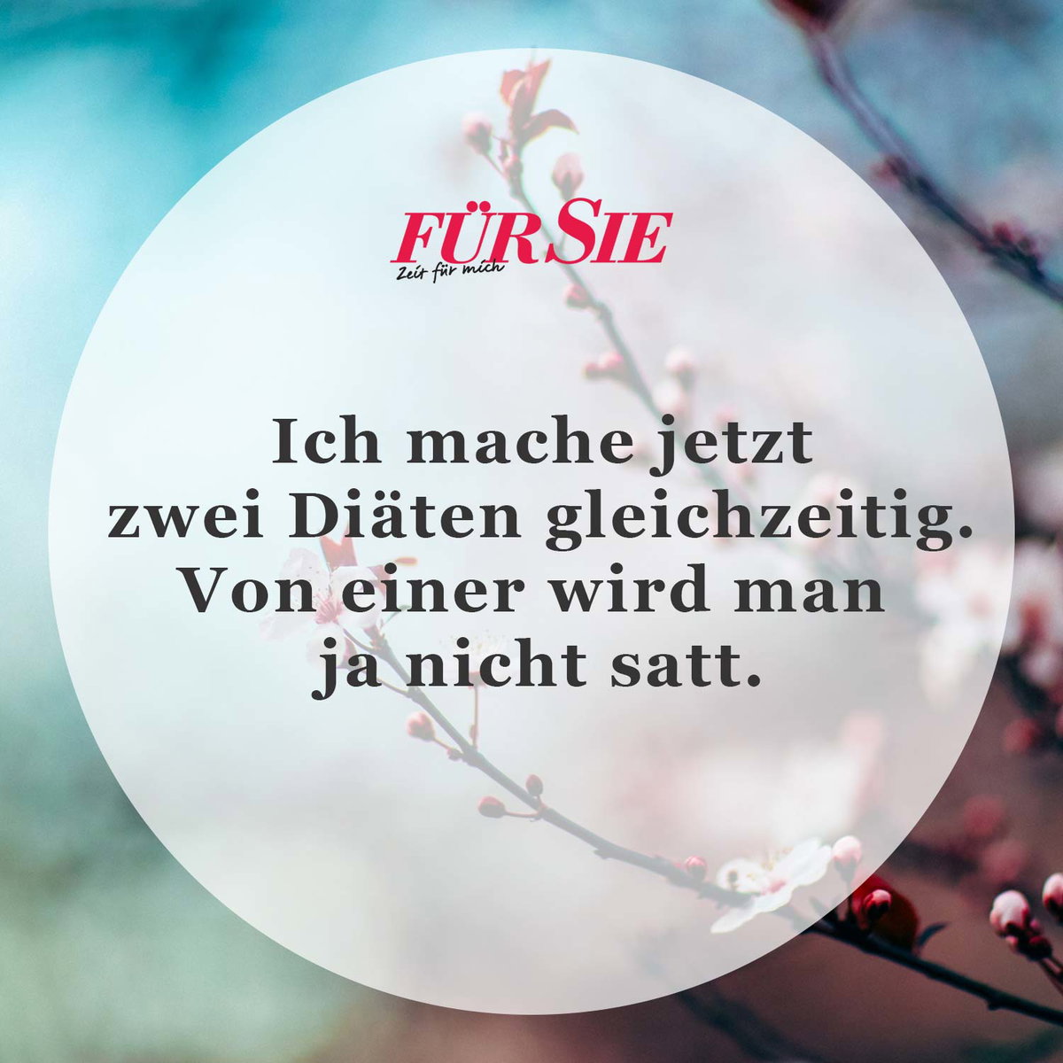 Spruch des Tages