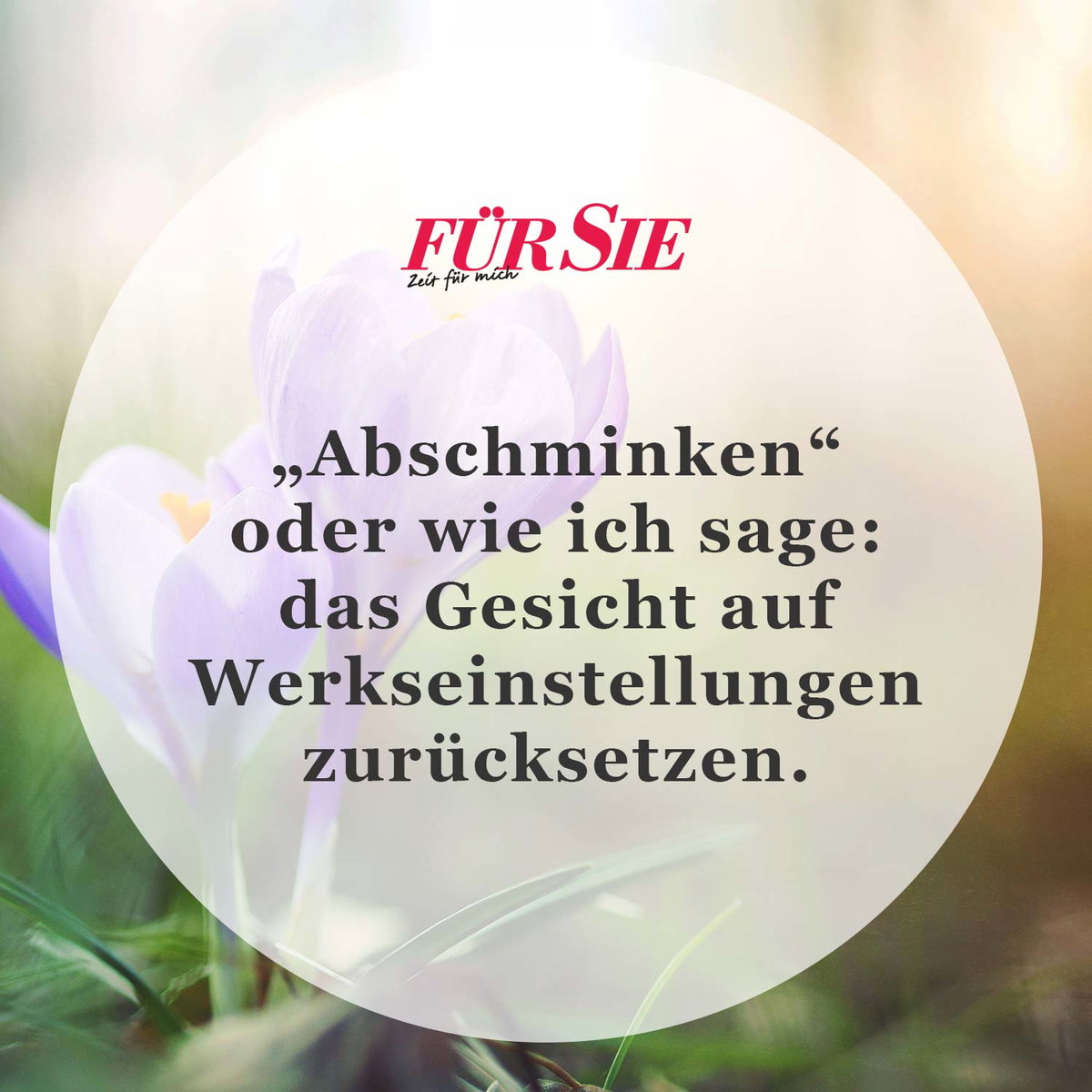 Spruch des Tages