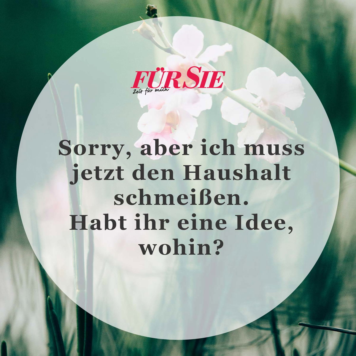 Spruch des Tages