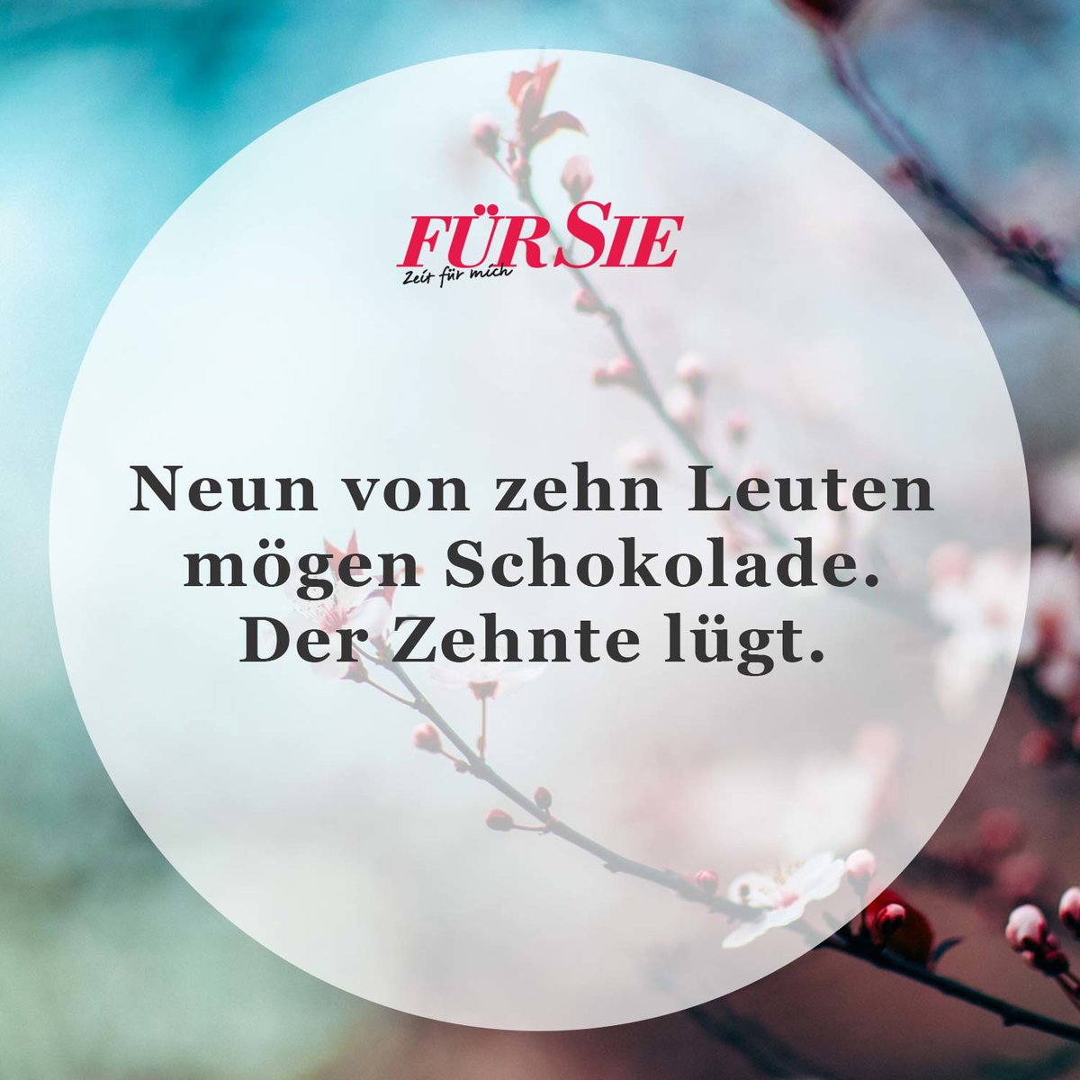 Spruch des Tages