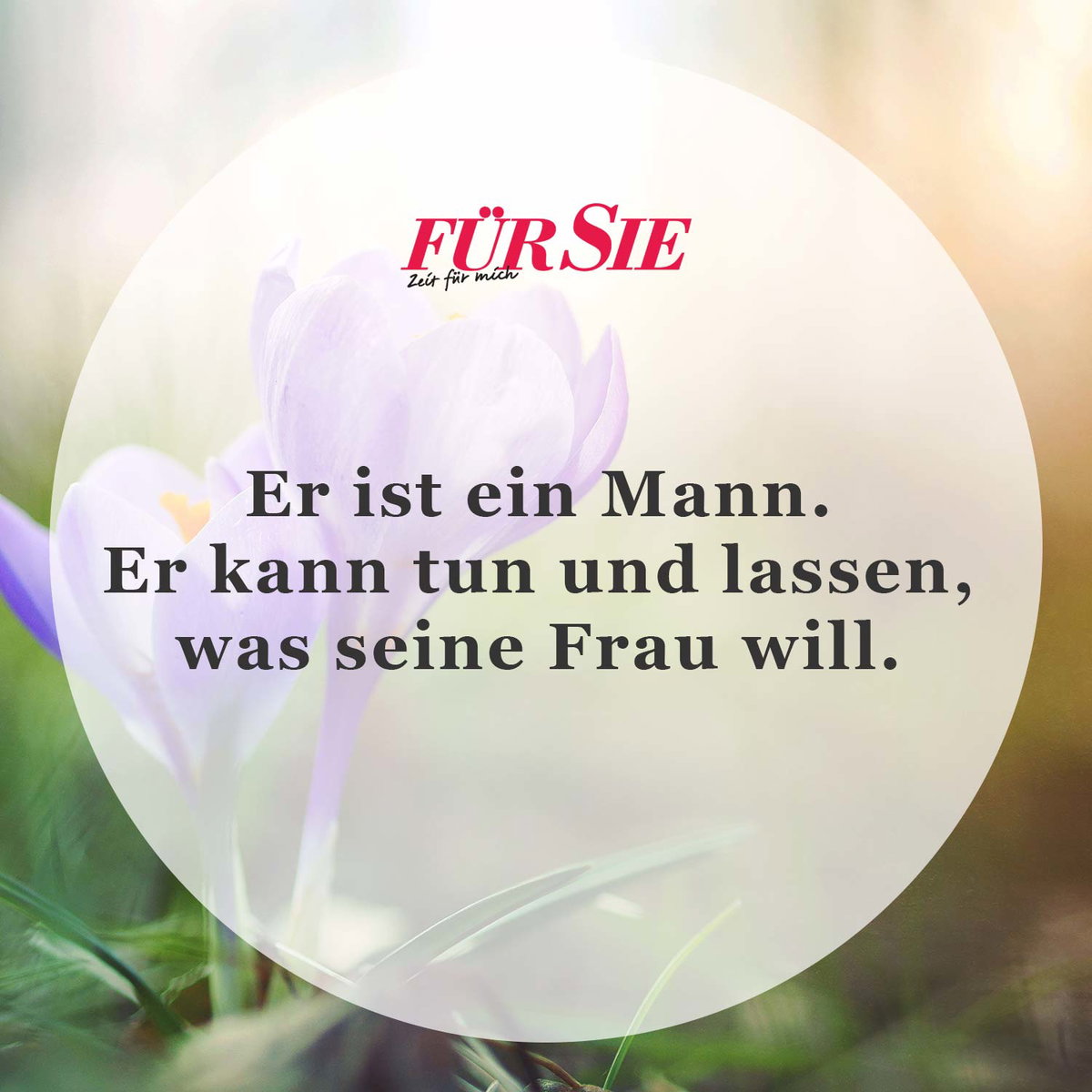 Spruch des Tages
